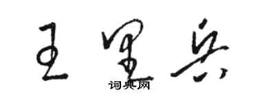 駱恆光王里兵草書個性簽名怎么寫