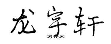 曾慶福龍宇軒行書個性簽名怎么寫