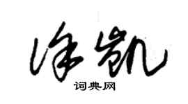 朱錫榮徐凱草書個性簽名怎么寫