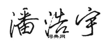 駱恆光潘浩宇行書個性簽名怎么寫