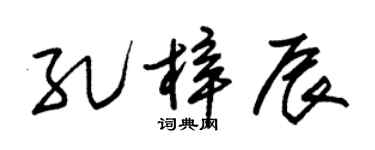 朱錫榮孔梓辰草書個性簽名怎么寫