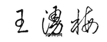 駱恆光王涌梅草書個性簽名怎么寫