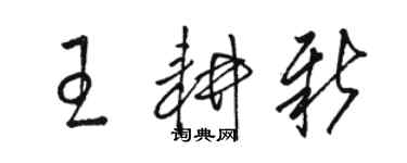 駱恆光王耕新草書個性簽名怎么寫