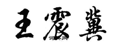胡問遂王震冀行書個性簽名怎么寫