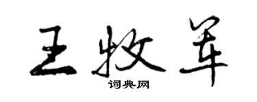 曾慶福王牧軍行書個性簽名怎么寫