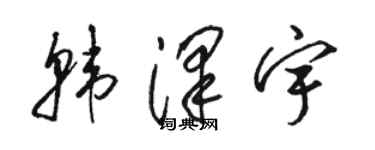 駱恆光韓澤宇草書個性簽名怎么寫