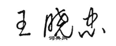 駱恆光王曉忠草書個性簽名怎么寫