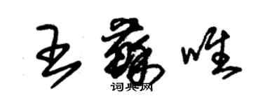 朱錫榮王蘇唯草書個性簽名怎么寫