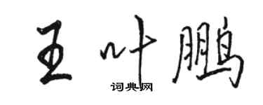 駱恆光王葉鵬行書個性簽名怎么寫