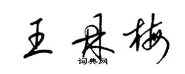 梁錦英王鼎梅草書個性簽名怎么寫