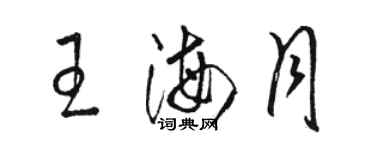 駱恆光王海月草書個性簽名怎么寫