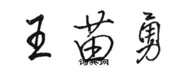 駱恆光王苗勇行書個性簽名怎么寫