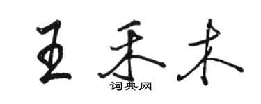 駱恆光王禾木行書個性簽名怎么寫