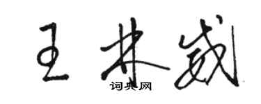 駱恆光王林威草書個性簽名怎么寫