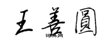 王正良王善圓行書個性簽名怎么寫