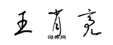 梁錦英王肖亮草書個性簽名怎么寫