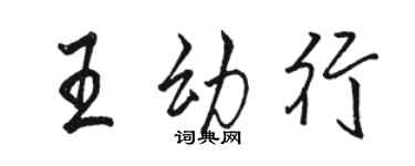 駱恆光王幼行行書個性簽名怎么寫