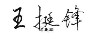 駱恆光王挺鋒行書個性簽名怎么寫