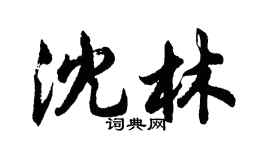 胡問遂沈林行書個性簽名怎么寫