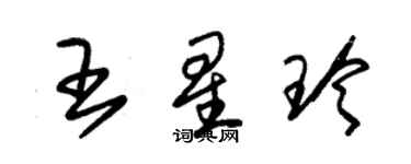 朱錫榮王星玲草書個性簽名怎么寫