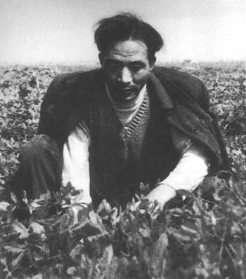 1964年5月14日焦裕祿逝世_歷史上的今天