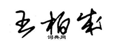 朱錫榮王柏成草書個性簽名怎么寫