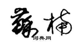 朱錫榮蘇楠草書個性簽名怎么寫