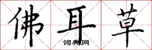 丁謙佛耳草楷書怎么寫