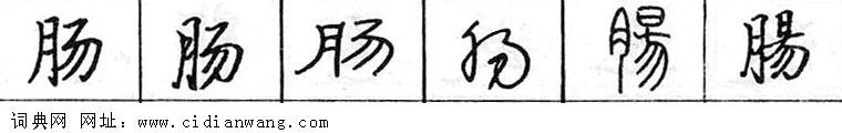 鋼筆字典