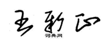 朱錫榮王新正草書個性簽名怎么寫