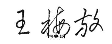 駱恆光王梅放草書個性簽名怎么寫