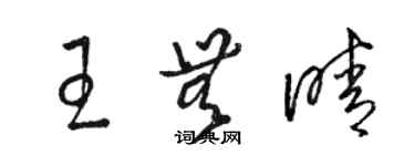 駱恆光王無晴草書個性簽名怎么寫