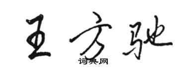 駱恆光王方馳行書個性簽名怎么寫