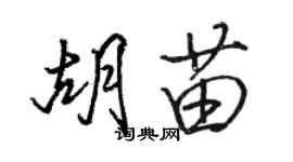 駱恆光胡苗行書個性簽名怎么寫