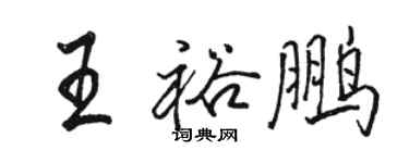 駱恆光王裕鵬行書個性簽名怎么寫
