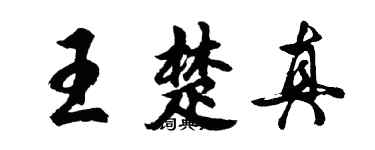 胡問遂王楚真行書個性簽名怎么寫