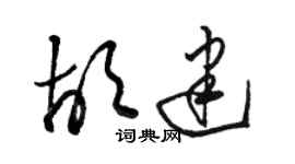 駱恆光胡建草書個性簽名怎么寫