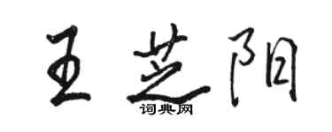 駱恆光王芝陽行書個性簽名怎么寫