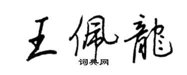 王正良王佩龍行書個性簽名怎么寫