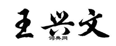胡問遂王興文行書個性簽名怎么寫
