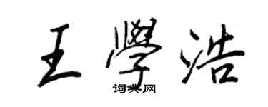 王正良王學浩行書個性簽名怎么寫