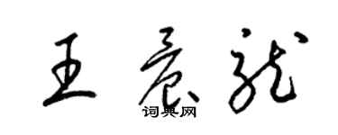 梁錦英王晨龍草書個性簽名怎么寫