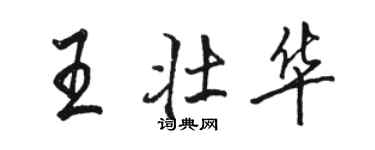 駱恆光王壯華行書個性簽名怎么寫