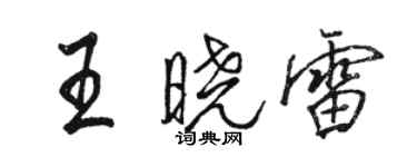 駱恆光王曉雷行書個性簽名怎么寫