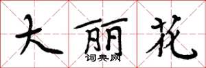 周炳元大麗花楷書怎么寫