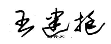 朱錫榮王建挺草書個性簽名怎么寫