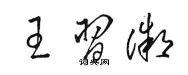 駱恆光王習微草書個性簽名怎么寫