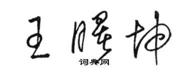 駱恆光王曙坤草書個性簽名怎么寫