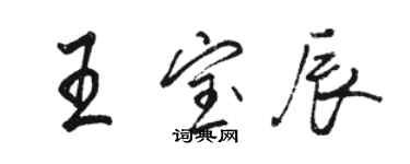 駱恆光王寶辰行書個性簽名怎么寫