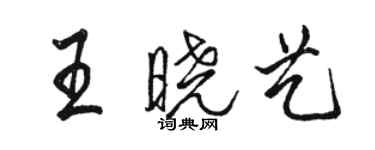 駱恆光王曉藝行書個性簽名怎么寫